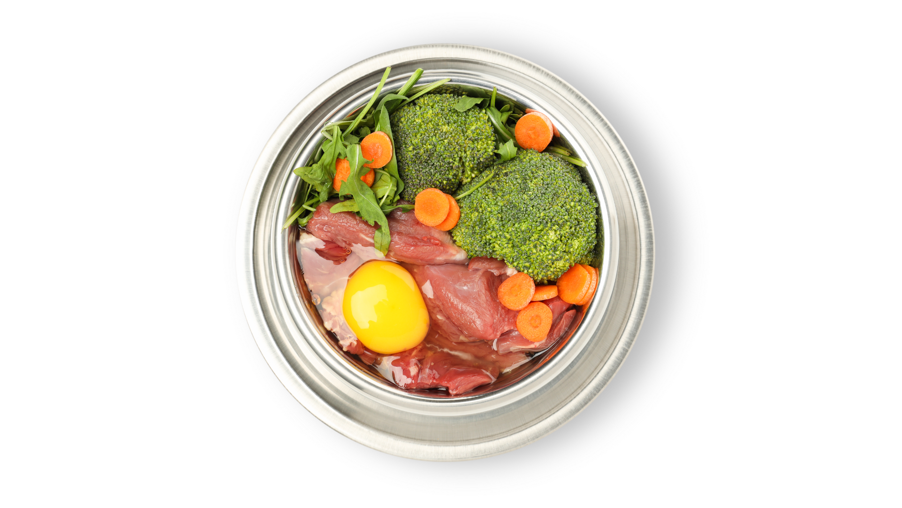 🍽️ Raw vs. Dry vs. Wet: What’s the Best for Your Pet?