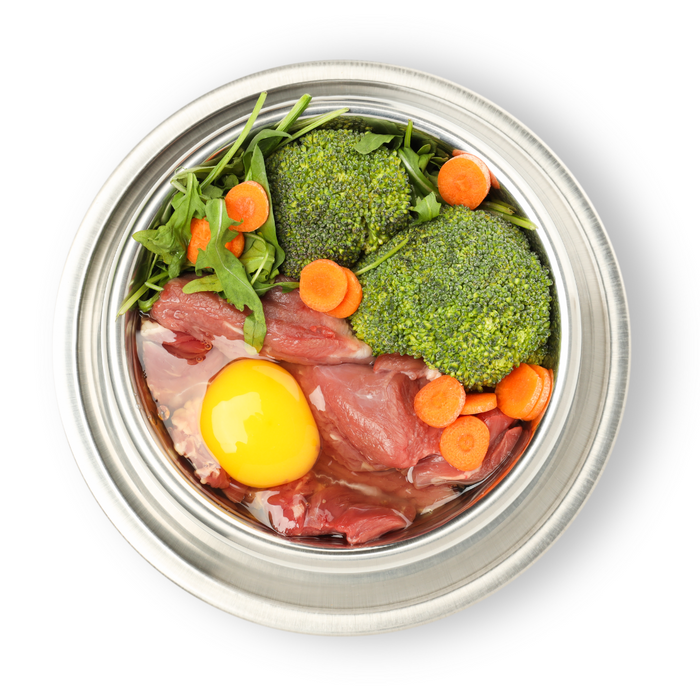 🍽️ Raw vs. Dry vs. Wet: What’s the Best for Your Pet?