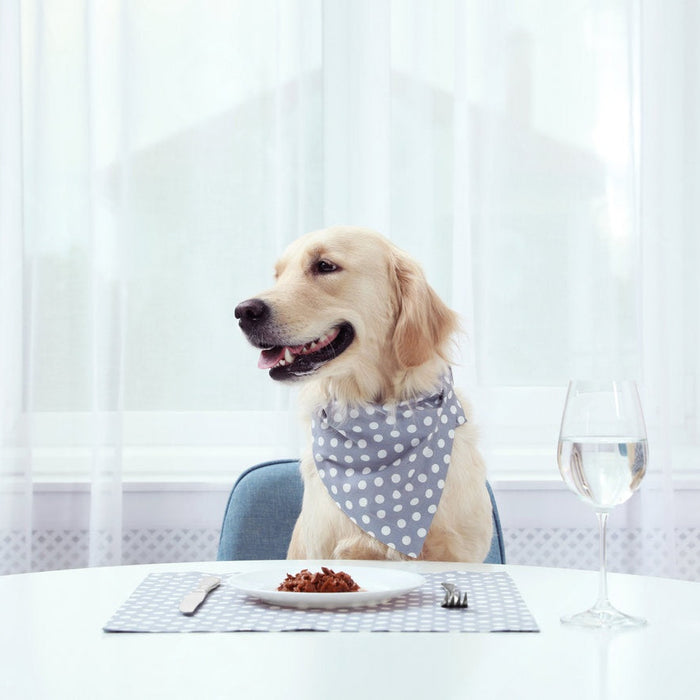 How Much Should I Feed My Pet?🐶🐱🍽️