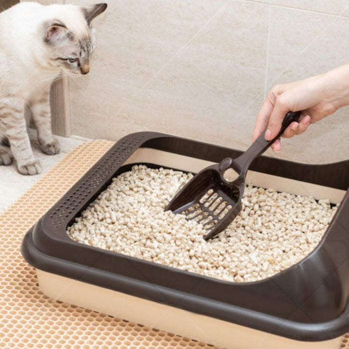 Decode the Poop: What Your Pet’s Stools Say About Their Health 💩