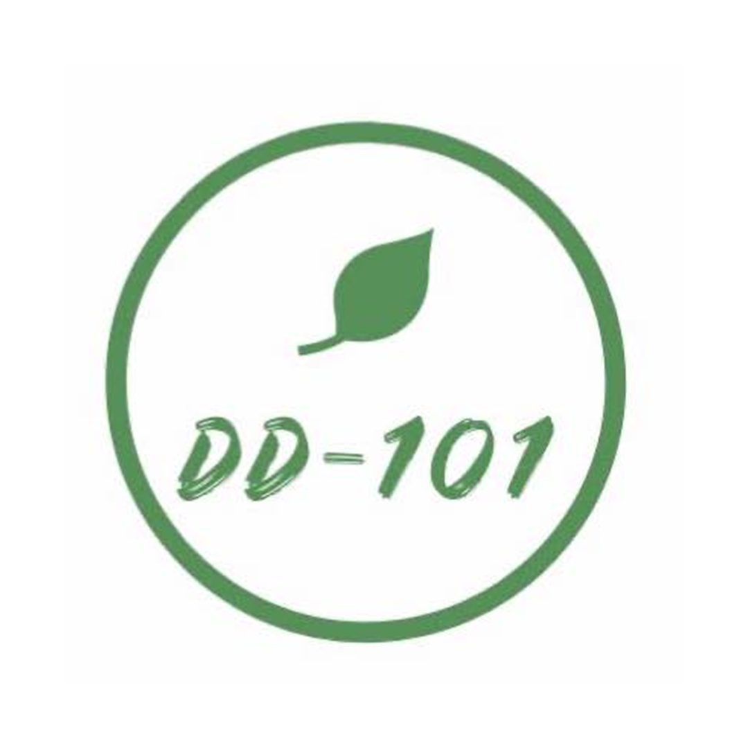 DD101