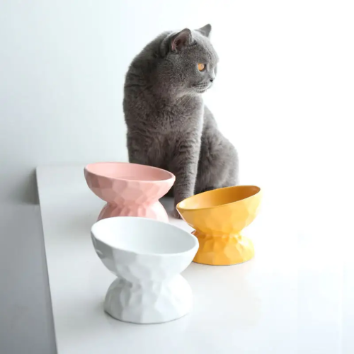 Funtails Elevated Ceramic Pet Bowl