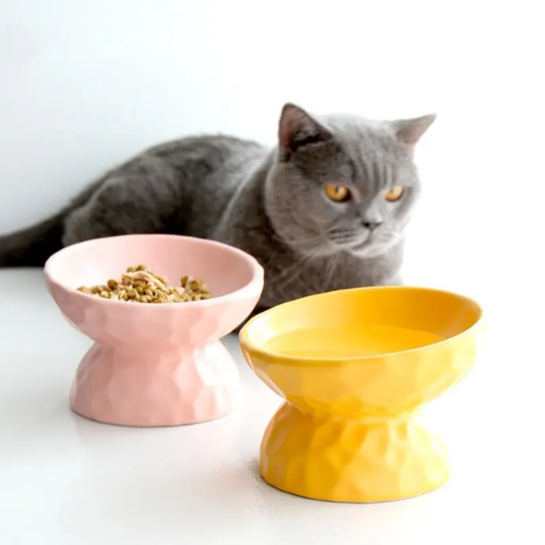Funtails Elevated Ceramic Pet Bowl