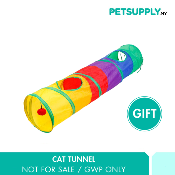 [Gift] Cat Rainbow Tunnel