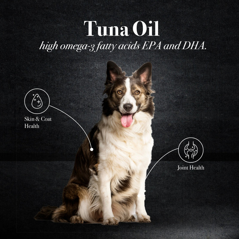 [Bundle Deals] Le Gourmet 400g Minced Entree For Dog (12 cans)