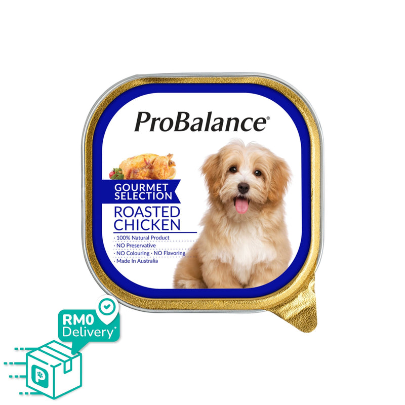 Probalance 100G Gourmet Selection Wet Dog Food (Roasted Chicken)