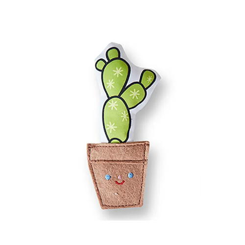 (Selection) Funtails Fresh Cactus Catnip