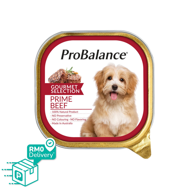 [Bundle Deals] Gourmet Selection 900g Wet Dog Food - 100g x 9