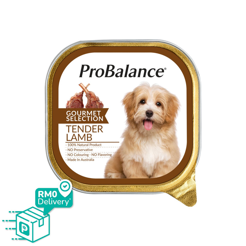 [Bundle Deals] Gourmet Selection 900g Wet Dog Food - 100g x 9