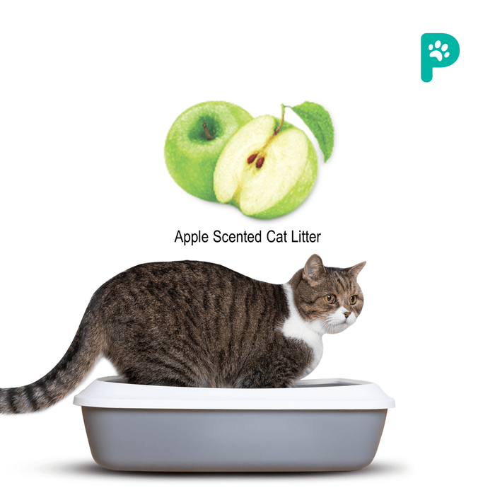 ProDiet Cat Litter Ball 5Lx5 packs (Apple/Lemon)