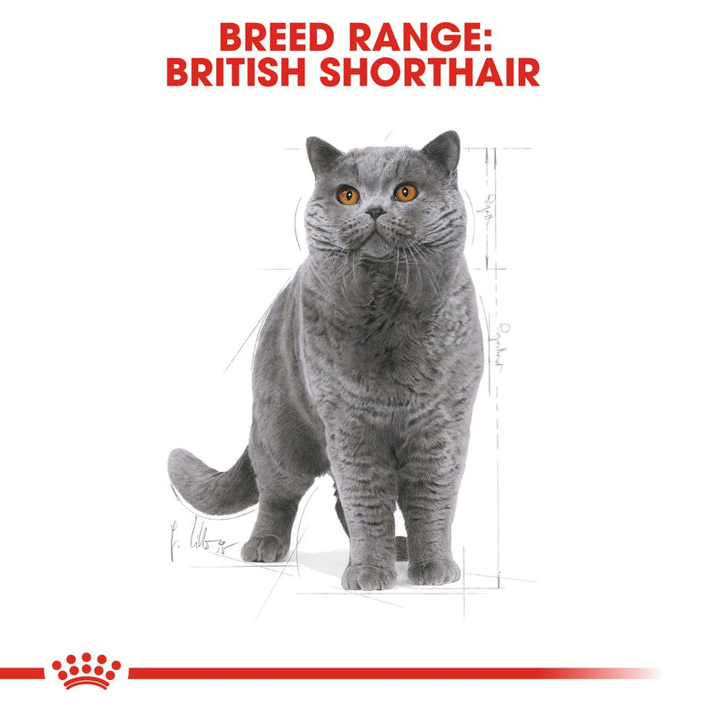 Royal Canin 2kg Adult British Short Hair Dry Cat Food (1 Pack)