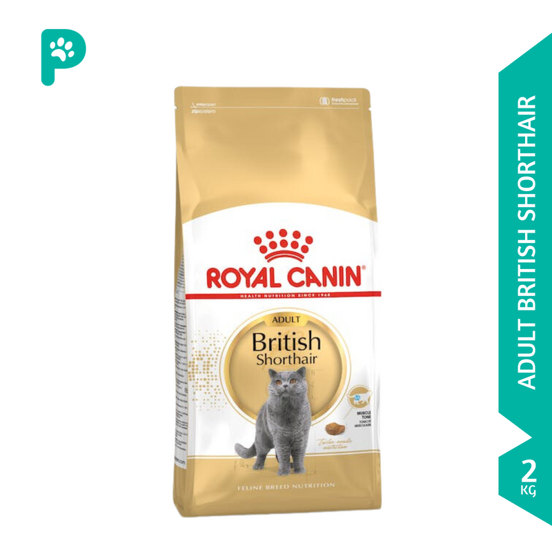 Royal Canin 2kg Adult British Short Hair Dry Cat Food (1 Pack)