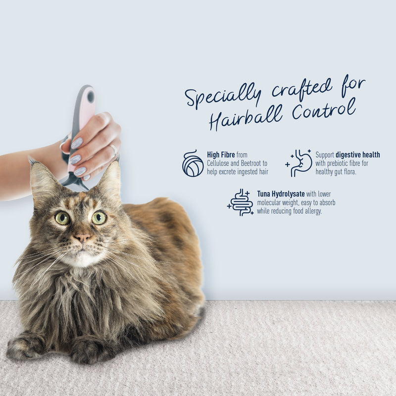 Delizios Care for Hairball Control 1kg