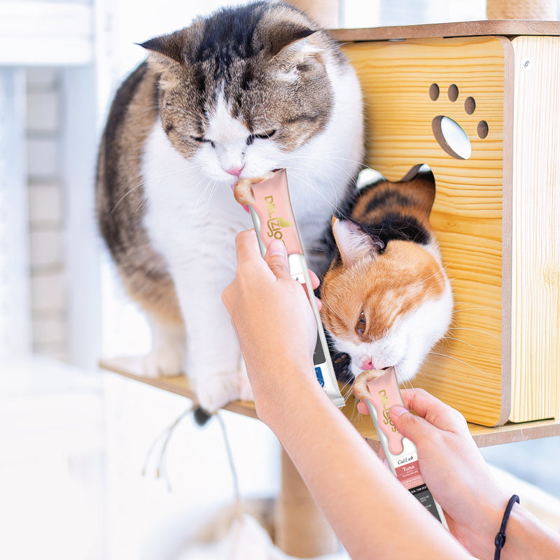 Delizios Catlick Jumbo Size 80g - Tuna with Katsuobushi (20gx4)