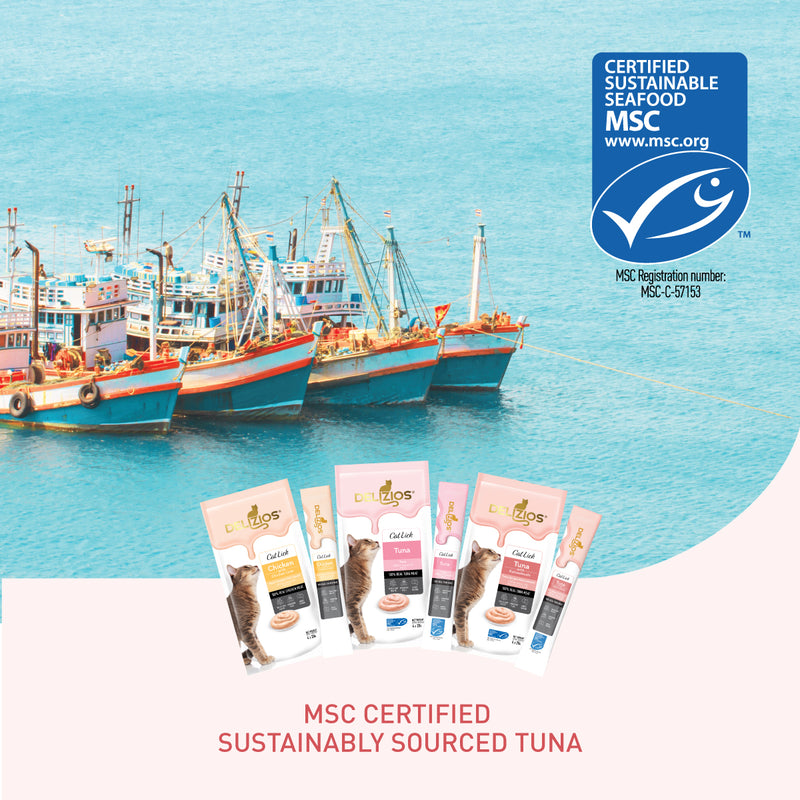 Delizios Catlick Jumbo Size 80g - Tuna with Katsuobushi (20gx4)