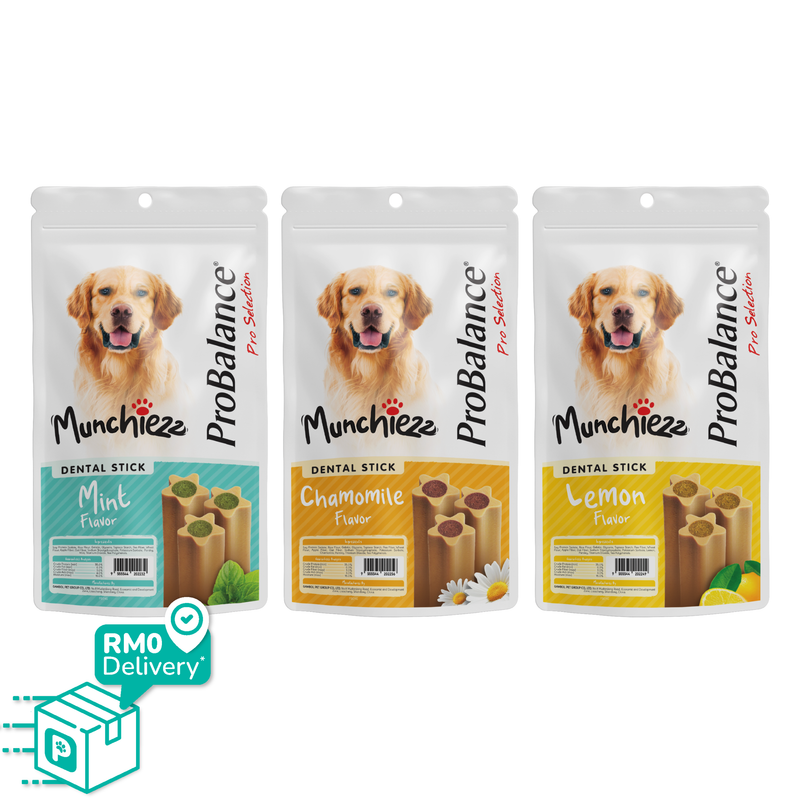 ProBalance Munchiezz Dental Stick 100g (Mint / Chamomile / Lemon) Dental Health Support