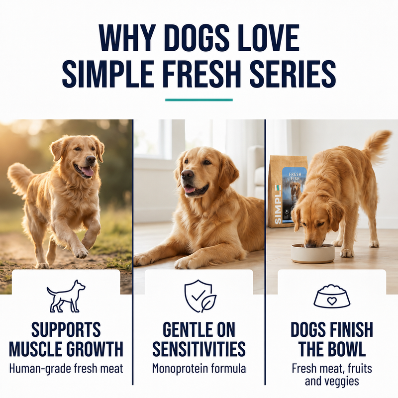 SIMPLE 3kg Monoprotein Nutrient-Rich Added Salmon Oil Fresh Human-Grade Premium Dog Dry Food (Fish/Lamb/Chicken)