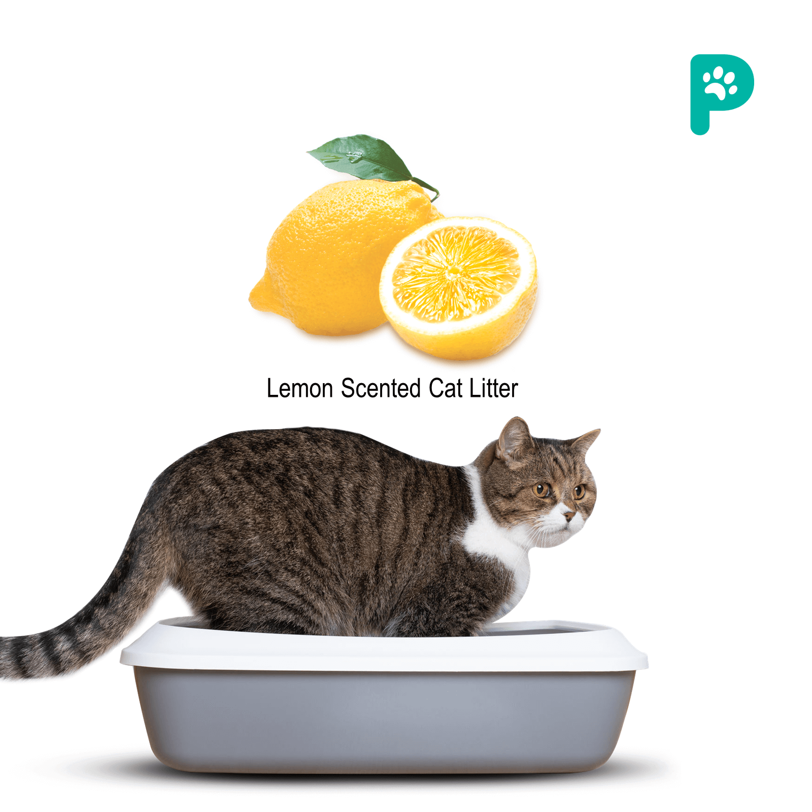 Free ProDiet Cat Litter Ball 5L Lemon