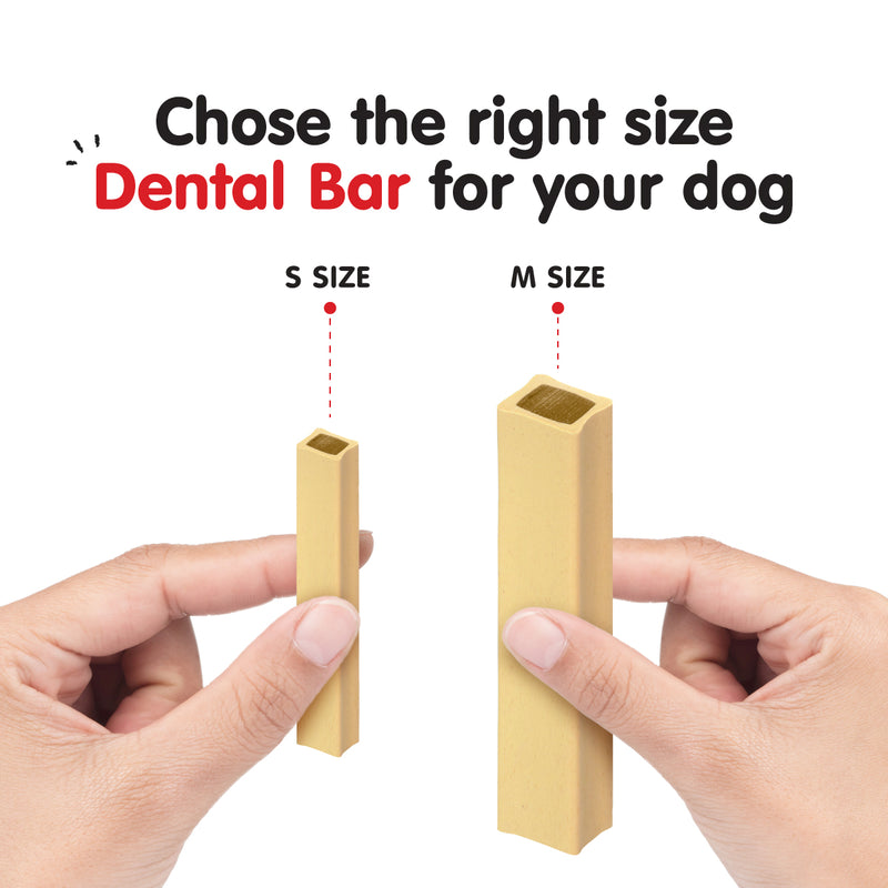 ProBalance Munchiezz Dental Bar 100g (Lamb / Turkey / Deer) Size S & M Dental Health Support