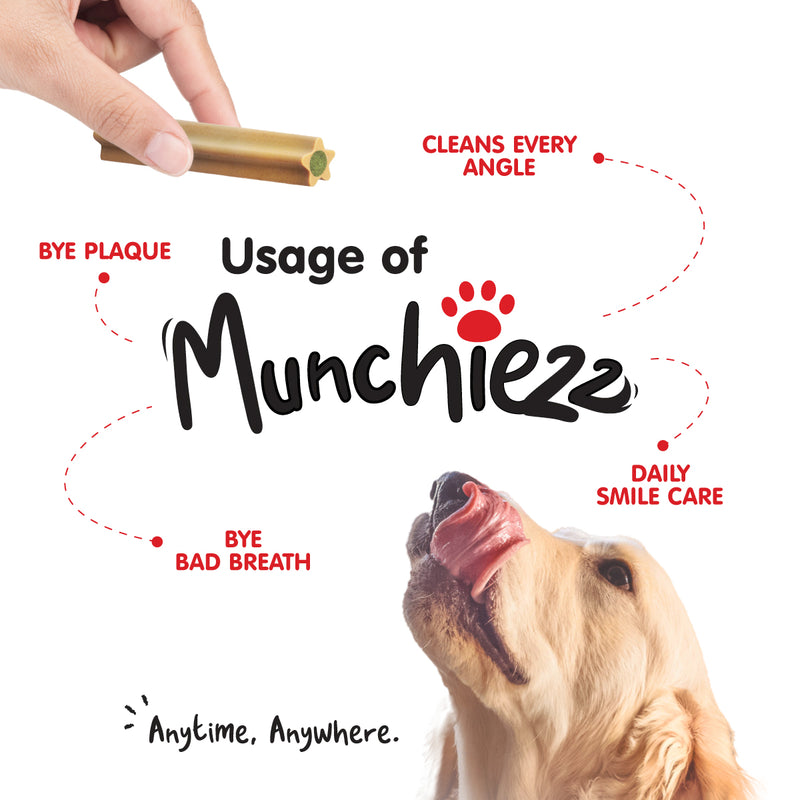 ProBalance Munchiezz Dental Stick 100g (Mint / Chamomile / Lemon) Dental Health Support