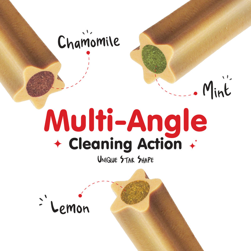 ProBalance Munchiezz Dental Stick 100g (Mint / Chamomile / Lemon) Dental Health Support