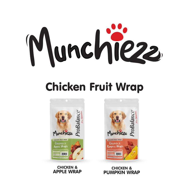 ProBalance Munchiezz Fruit Wraps 100g (Apple / Pumpkin) Dental Health Support