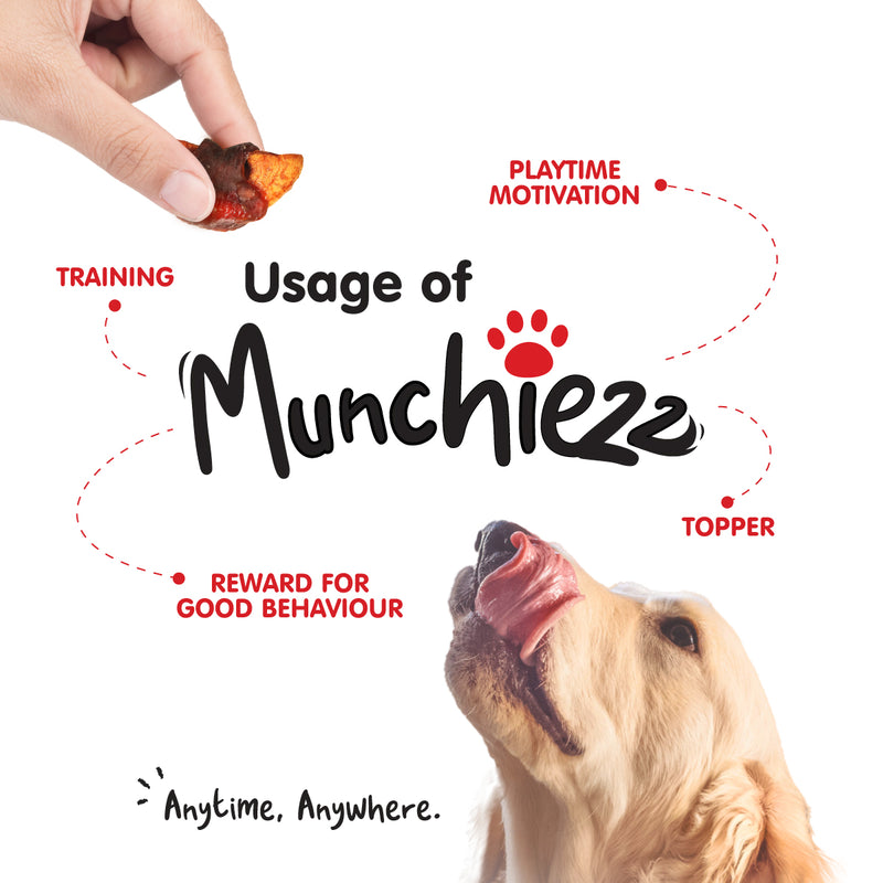 ProBalance Munchiezz Fruit Wraps 100g (Apple / Pumpkin) Dental Health Support