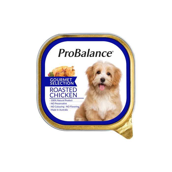 Probalance 100G Gourmet Selection Wet Dog Food (Roasted Chicken)