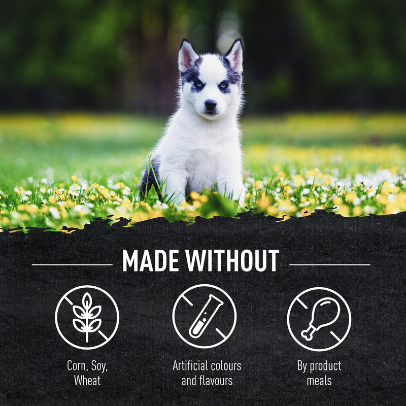 Le Gourmet Adult Small Breed Dry Kibble 1.5kg (Chicken Hydrolysate)