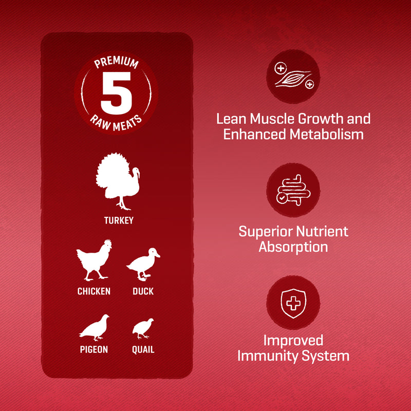 Simple 3kg Raw 5 Series Premium Dog Dry Kibbles (Country Medley / Ocean Harvest / Grassland Bounty)