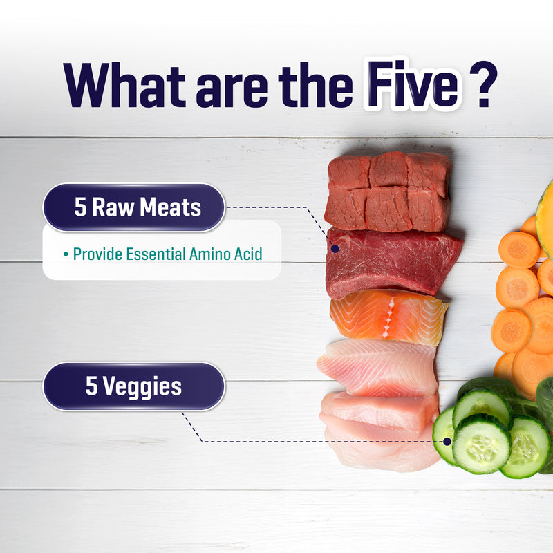 Simple 3kg Raw 5 Series Premium Dog Dry Kibbles (Country Medley / Ocean Harvest / Grassland Bounty)