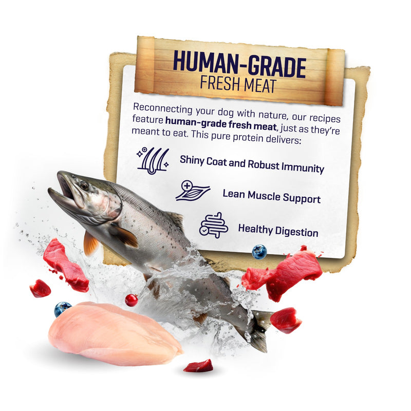 3KG SIMPLE Fresh Human-Grade Meat Dry Premium Dog Food