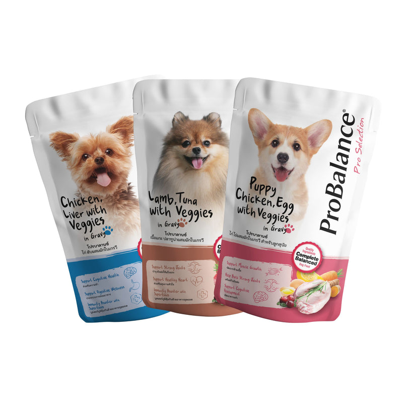 [Membership Redemption] ProBalance Pouch 130g