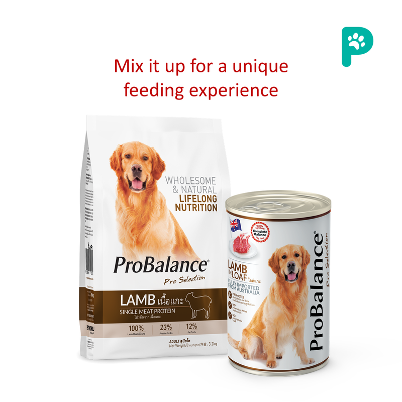 ProBalance Lamb 15KG Single Source Adult Dry Dog Food