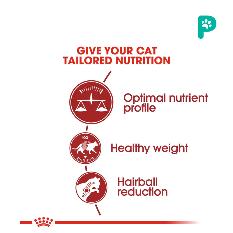Royal Canin 2kg Fit 32 Dry Cat Food (1 Pack)