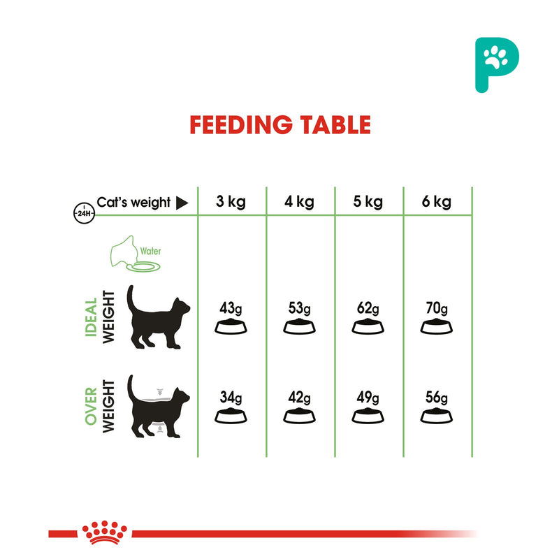 Royal Canin Digestive Care Cat Dry Food 0.4KG