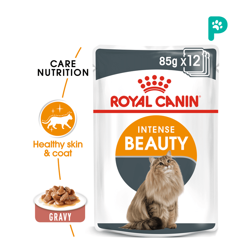 Royal Canin Intense Beauty Pouch Wet Cat Food (12 Packs)