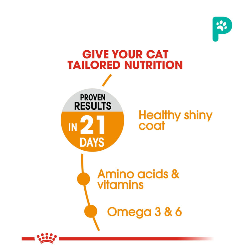 Royal Canin 2kg Hair & Skin Care 33 Dry Cat Food (1 Pack)