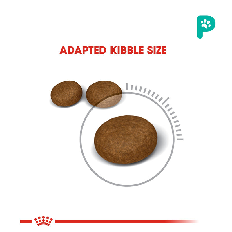 Royal Canin 2kg Hair & Skin Care 33 Dry Cat Food (1 Pack)