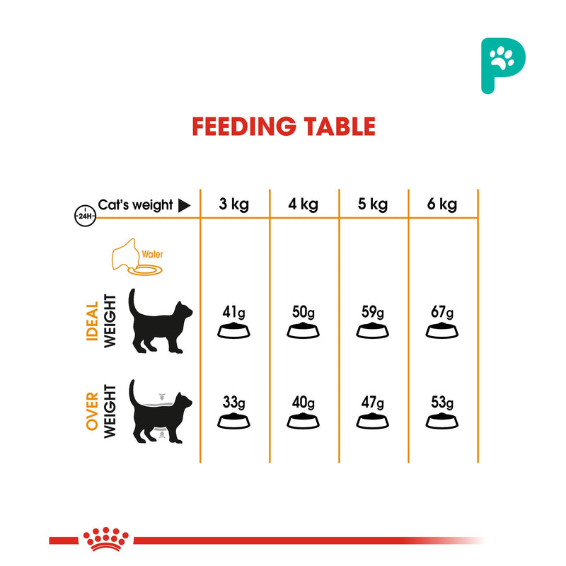 Royal Canin 4kg Hair & Skin Care 33 Dry Cat Food (1 Pack)