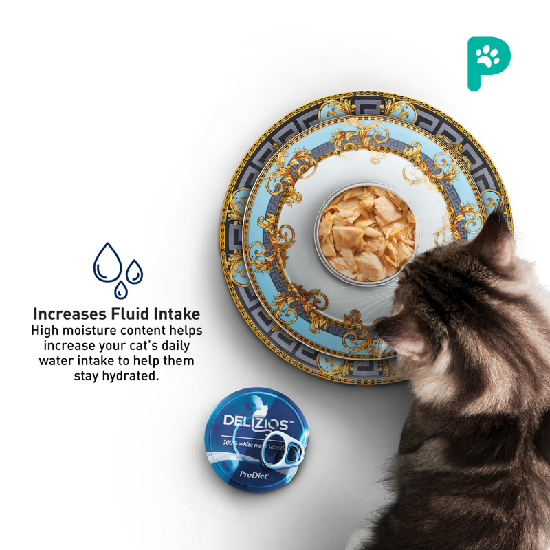 Delizios 80g White Meat Wet Cat Food
