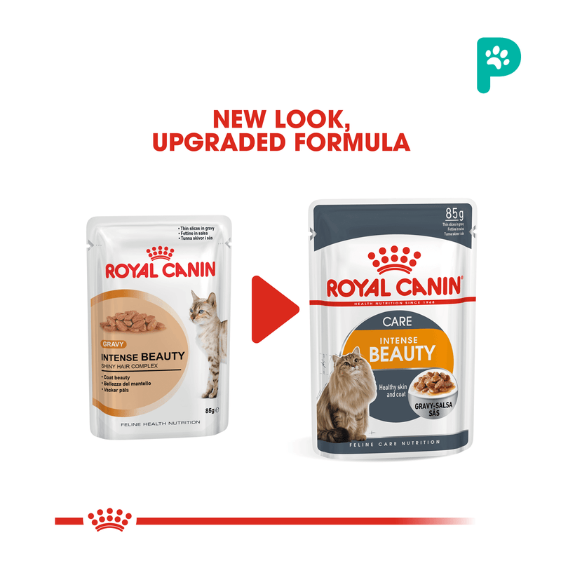 Royal Canin Intense Beauty Pouch Wet Cat Food (12 Packs)