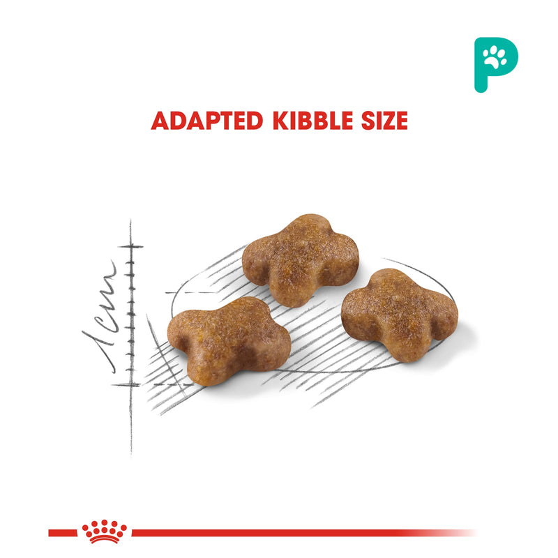 Royal Canin Second Age Kitten 0.4kg