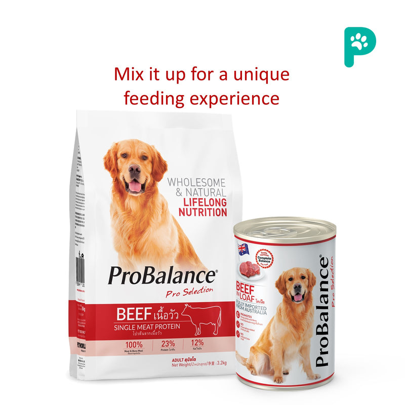 ProBalance 8KG Single Source Adult Dry Dog Food [Beef]