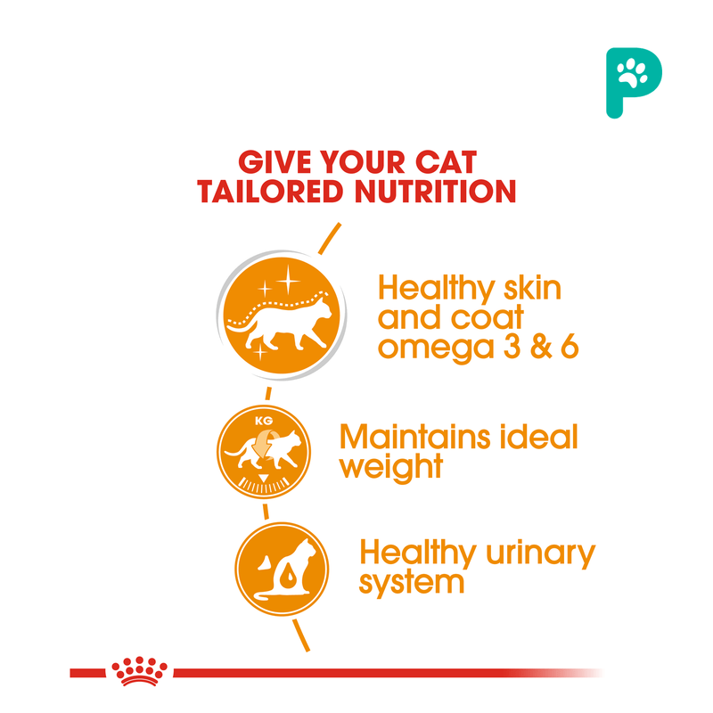 Royal Canin Intense Beauty Pouch Wet Cat Food (12 Packs)