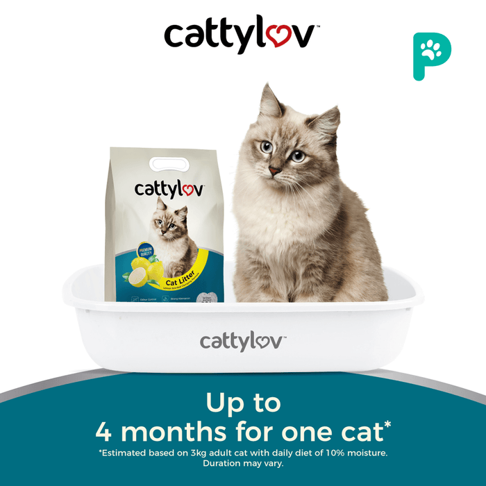 CattyLuv Cat Litter 10L x 2 units
