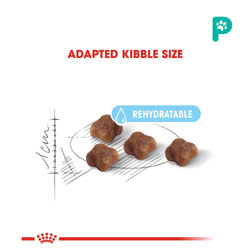 Royal Canin Mother & Baby Cat 0.4KG