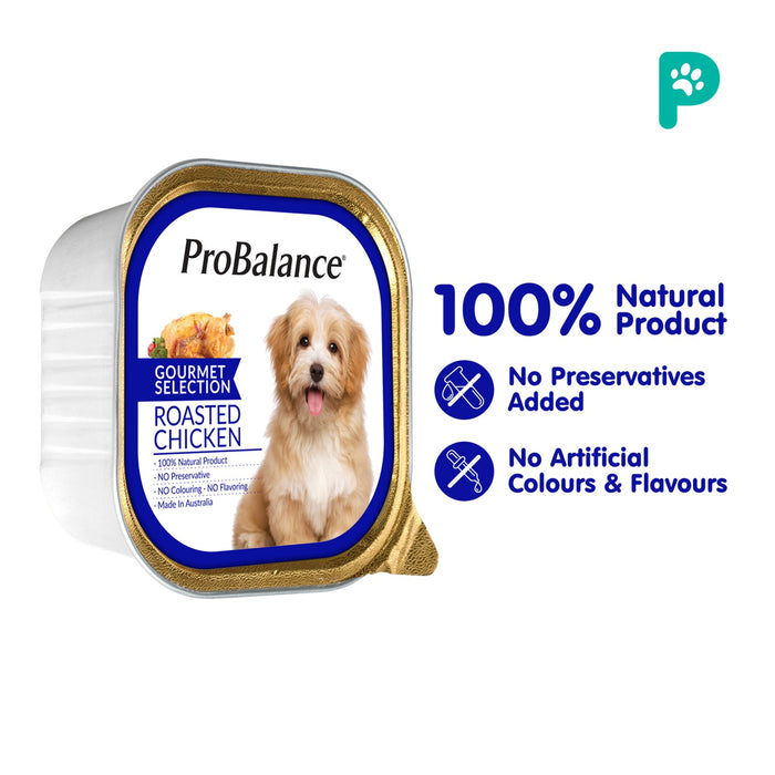 Probalance 100G Gourmet Selection Wet Dog Food (Roasted Chicken)