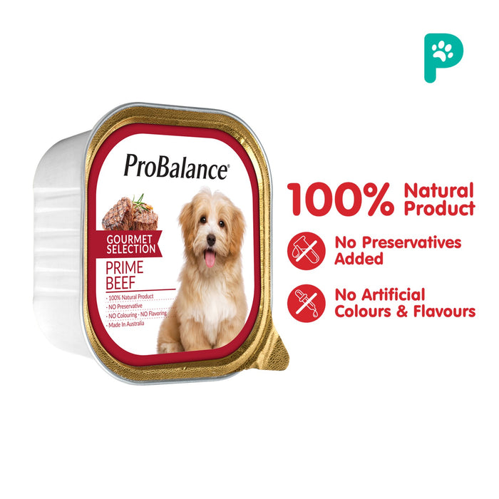 Probalance 100g Gourmet Selection Wet Dog Food (Prime Beef)