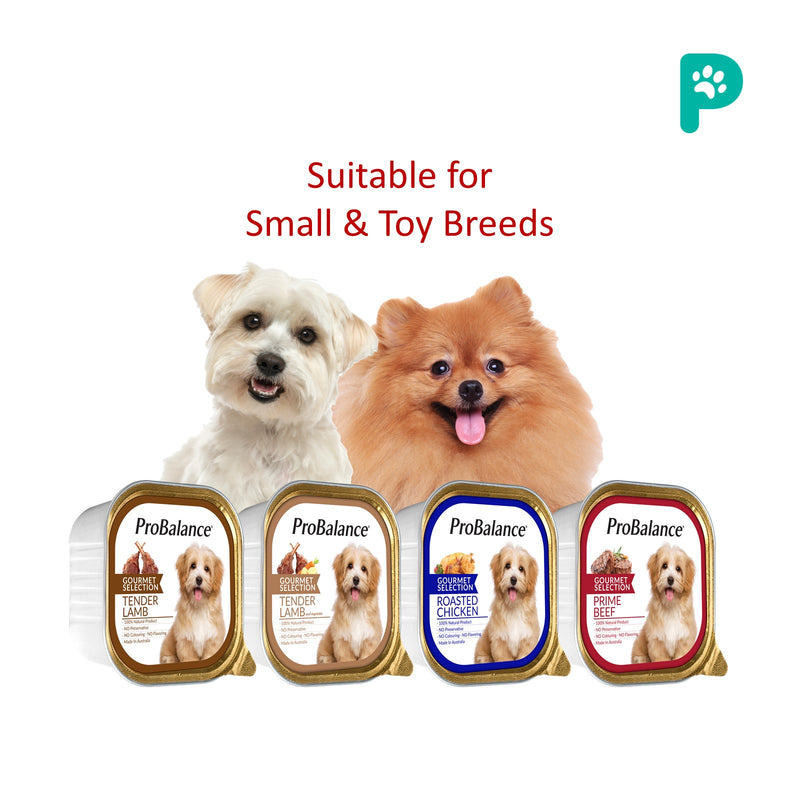 Probalance 100g Gourmet Selection Wet Dog Food (Prime Beef)
